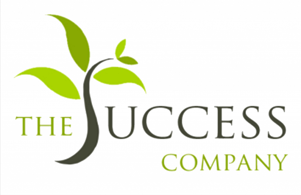 Change Management – The Success Company